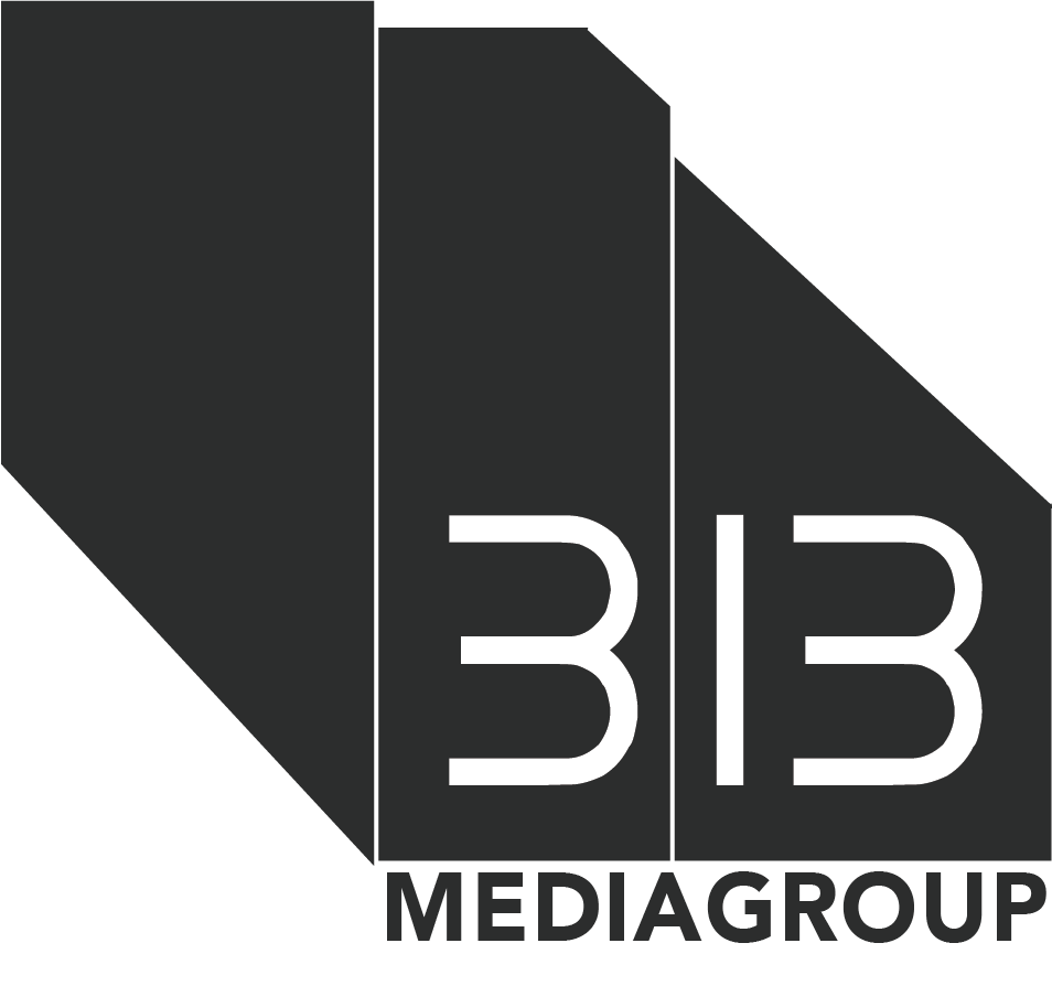 313 Media Group